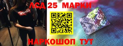 гашик Моздок