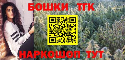 гашик Моздок
