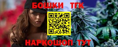 гашик Моздок