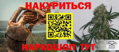 гашик Моздок