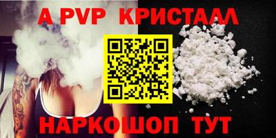гашик Моздок