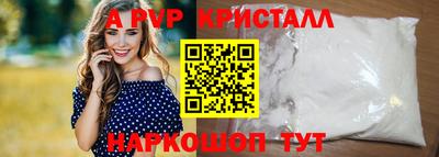 гашик Моздок