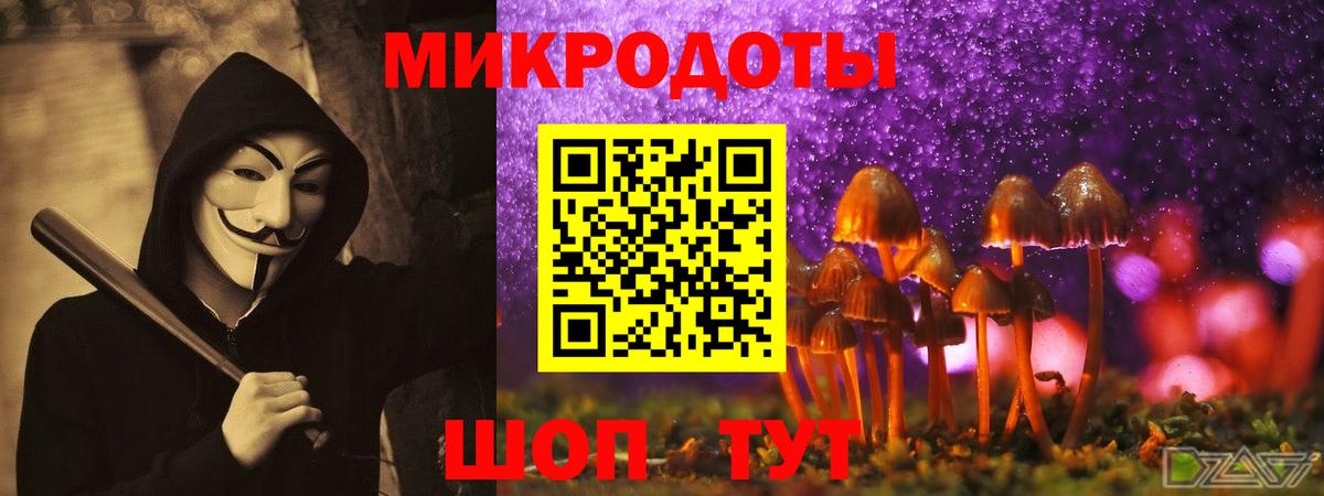 Псилоцибиновые грибы прущие грибы Тихорецк