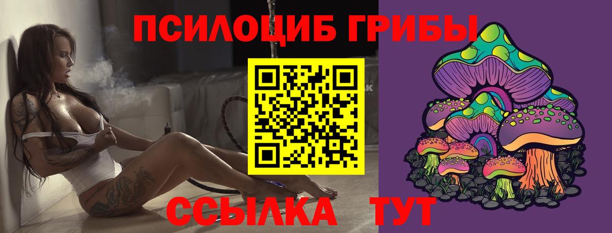 Псилоцибиновые грибы MAGIC MUSHROOMS  купить наркотики цена  Тихорецк  Вход с VPN 